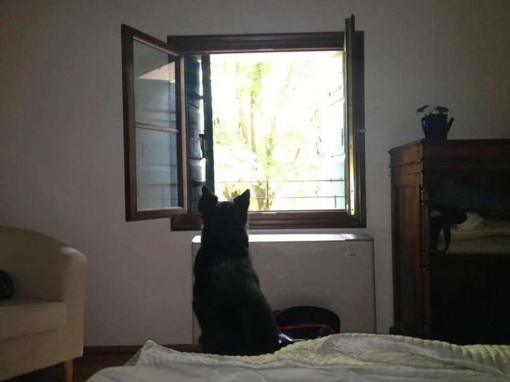 Фото Agriturismo Barchessa