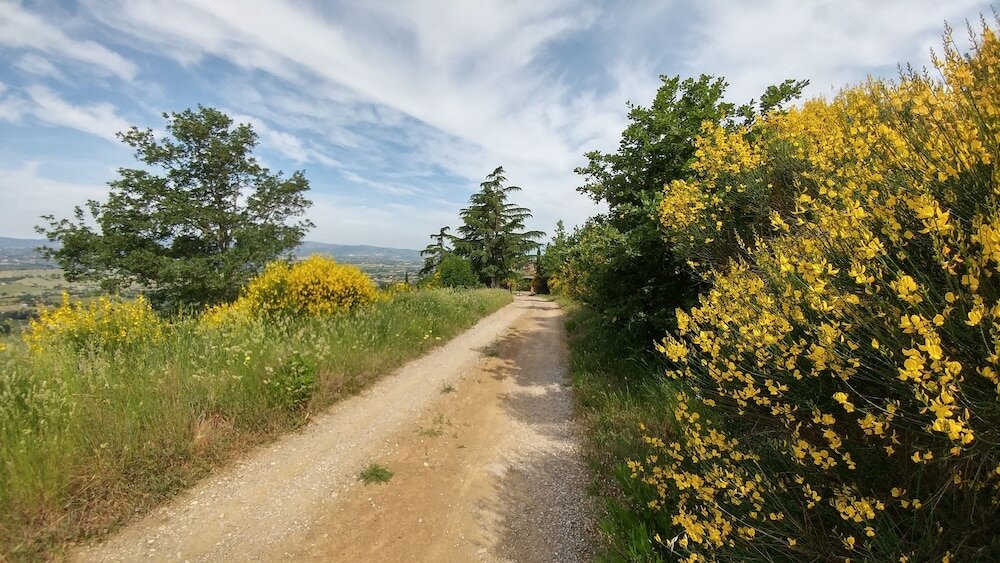 Фото Agriturismo Antica Dimora