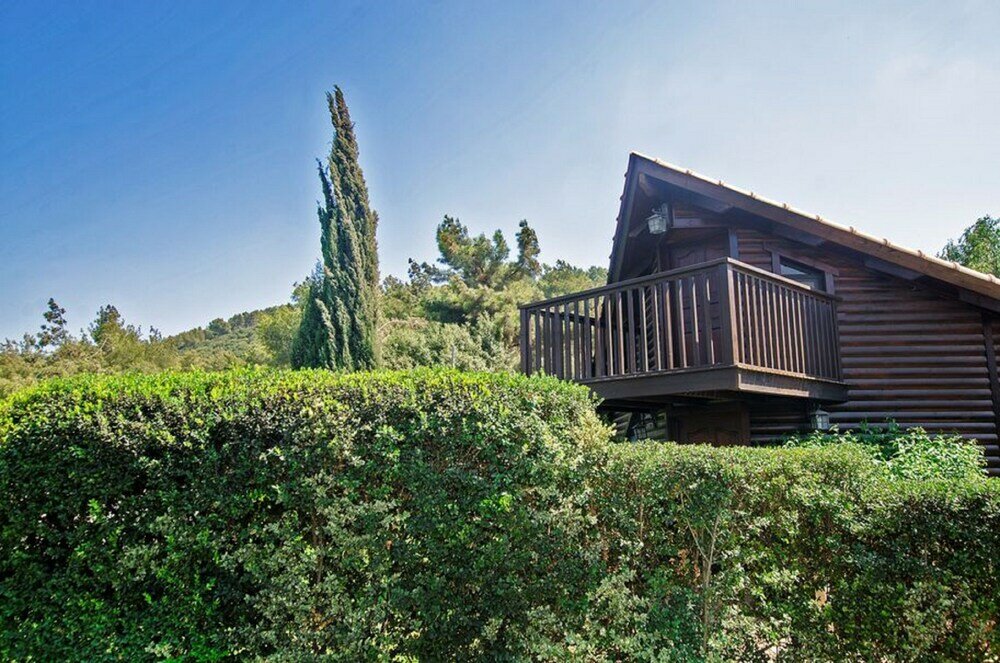 Фото A different little place