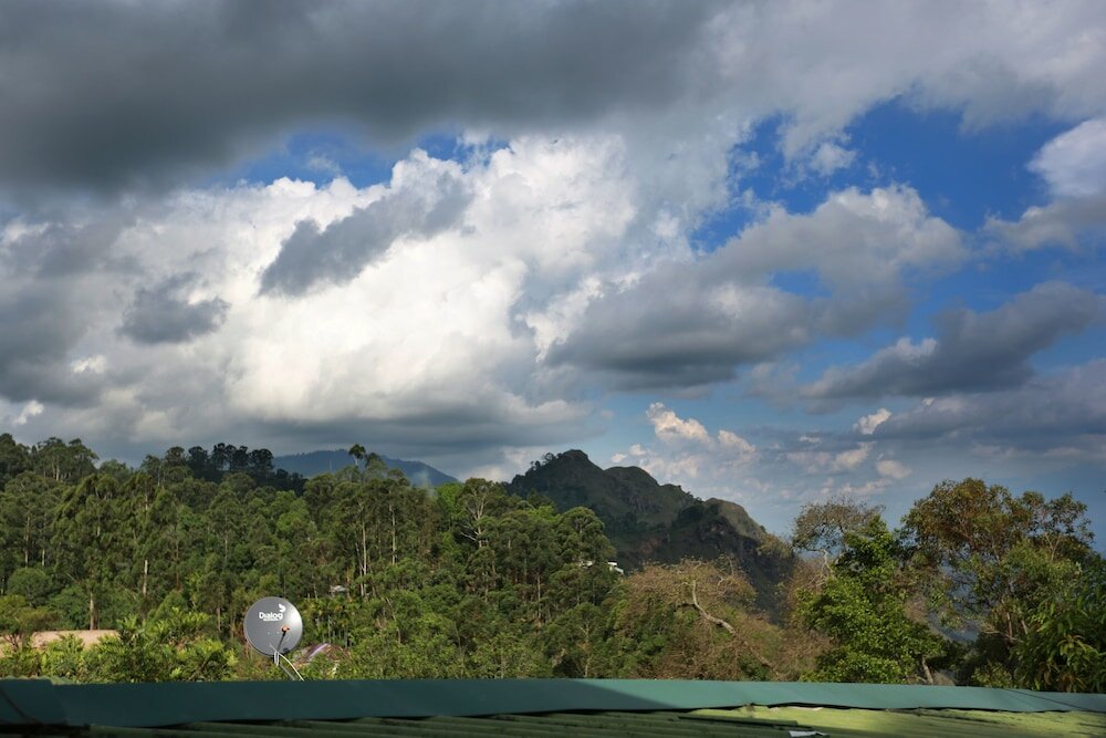 Фото Tea Garden Holiday Inn