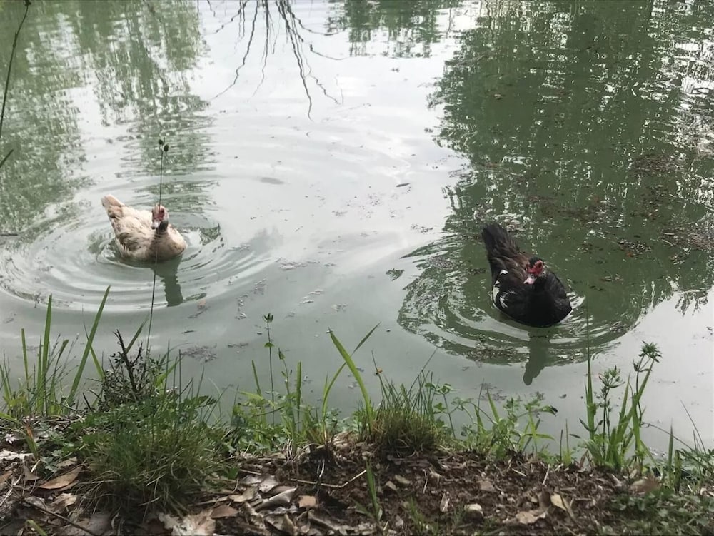 Фото Agriturismo Colloreto