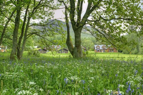 Внешний вид отеля Loch Lomond Waterfront Luxury Lodges в Балмахе, фото 4