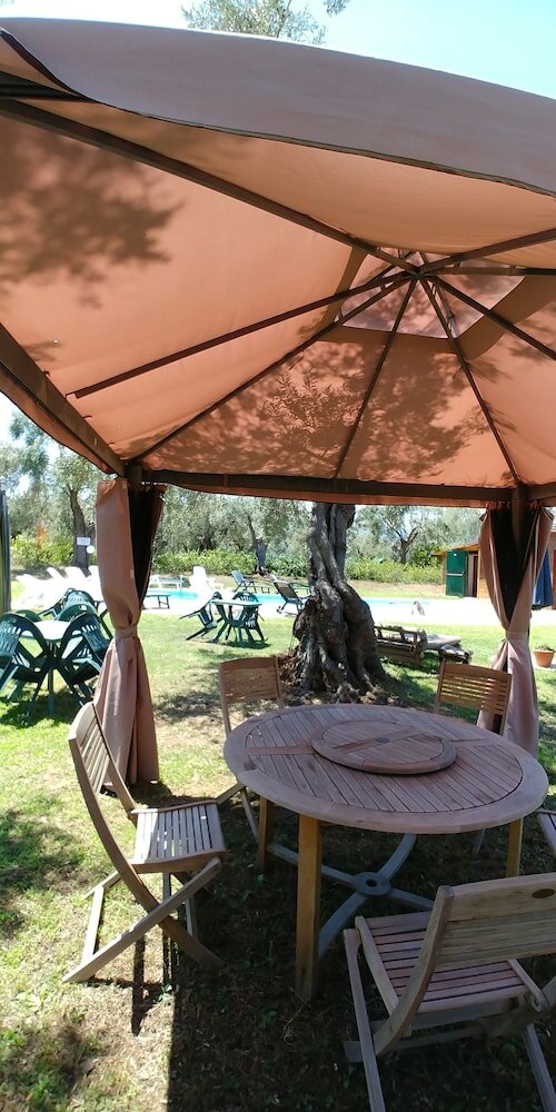 Фото La Piana degli Ulivi