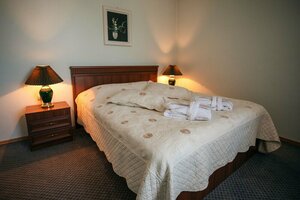 Leader Hotel (kray Shida Kartli, Gori, Tamar Mepe 1st Lane), hotel