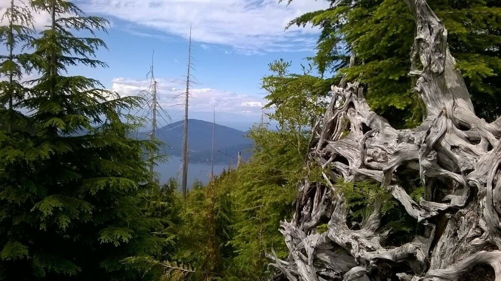 Фото B&b Esperanca