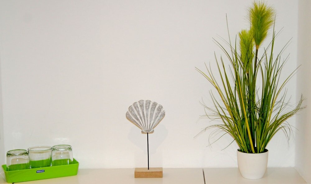 Фото Boardinghouse Paderborn