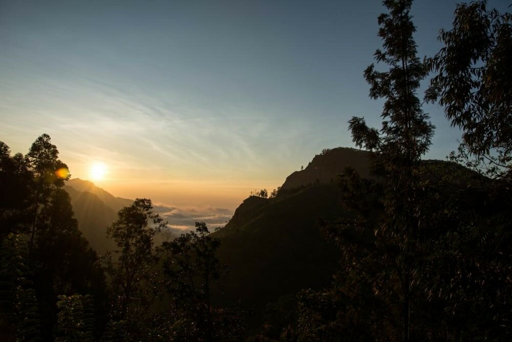 Фото The Onestar Homestay