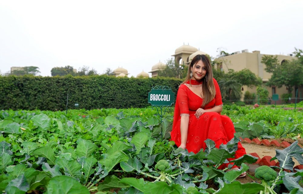 Фото Heritage Village Resort & SPA Manesar