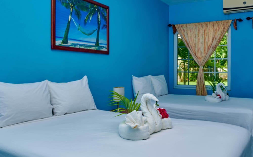 Фото The Yellow Bird