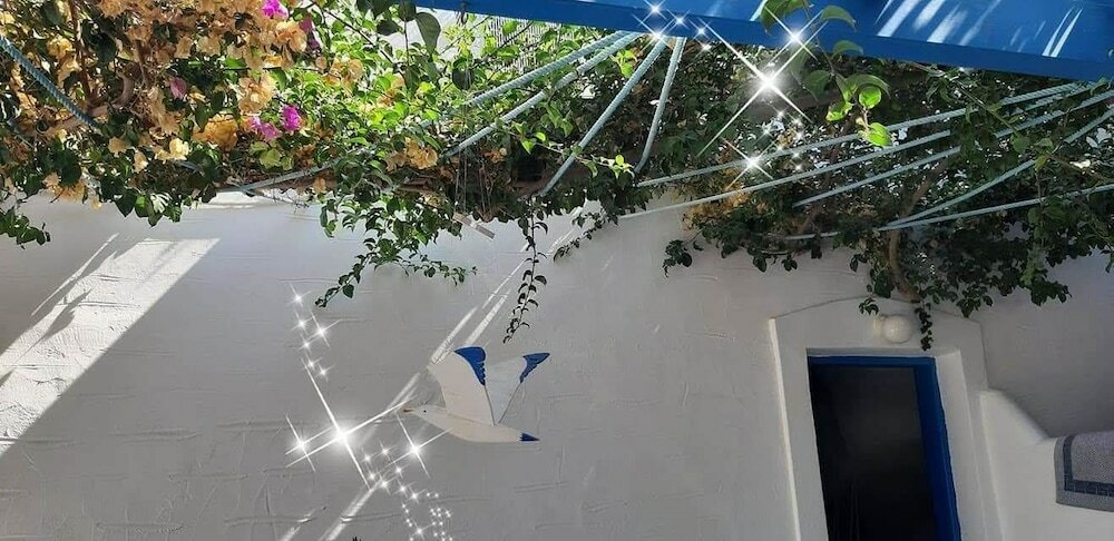 Фото Pelagos Studios