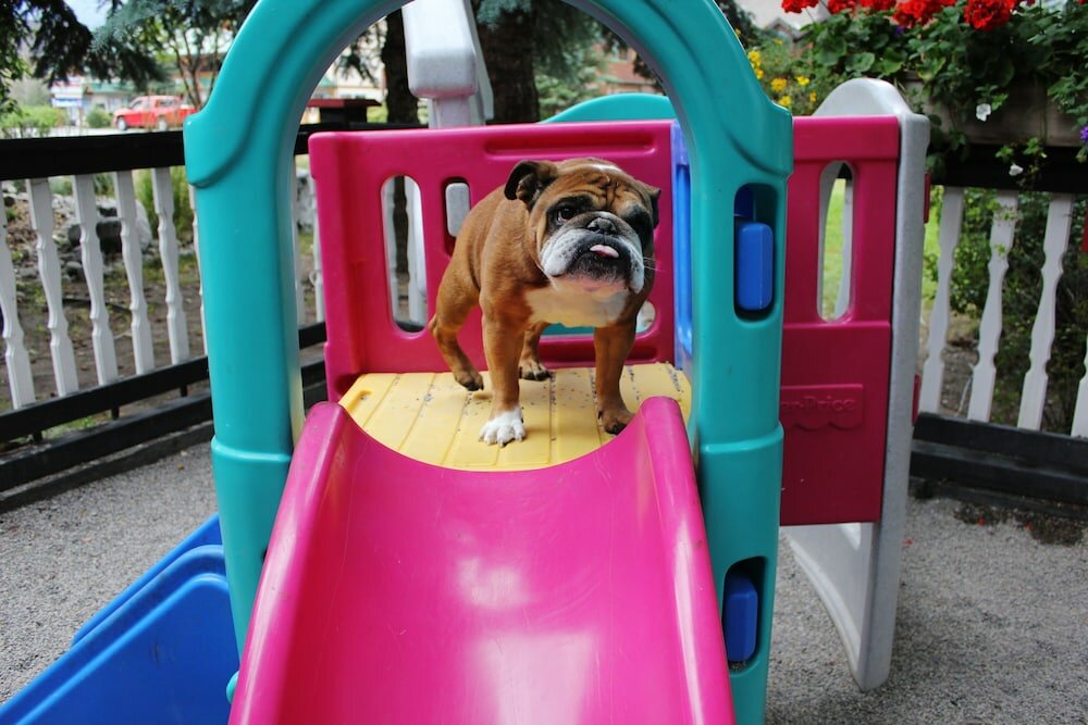 Фото The Georgetown Inn