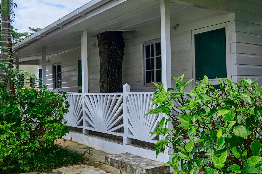 Фото The Yellow Bird