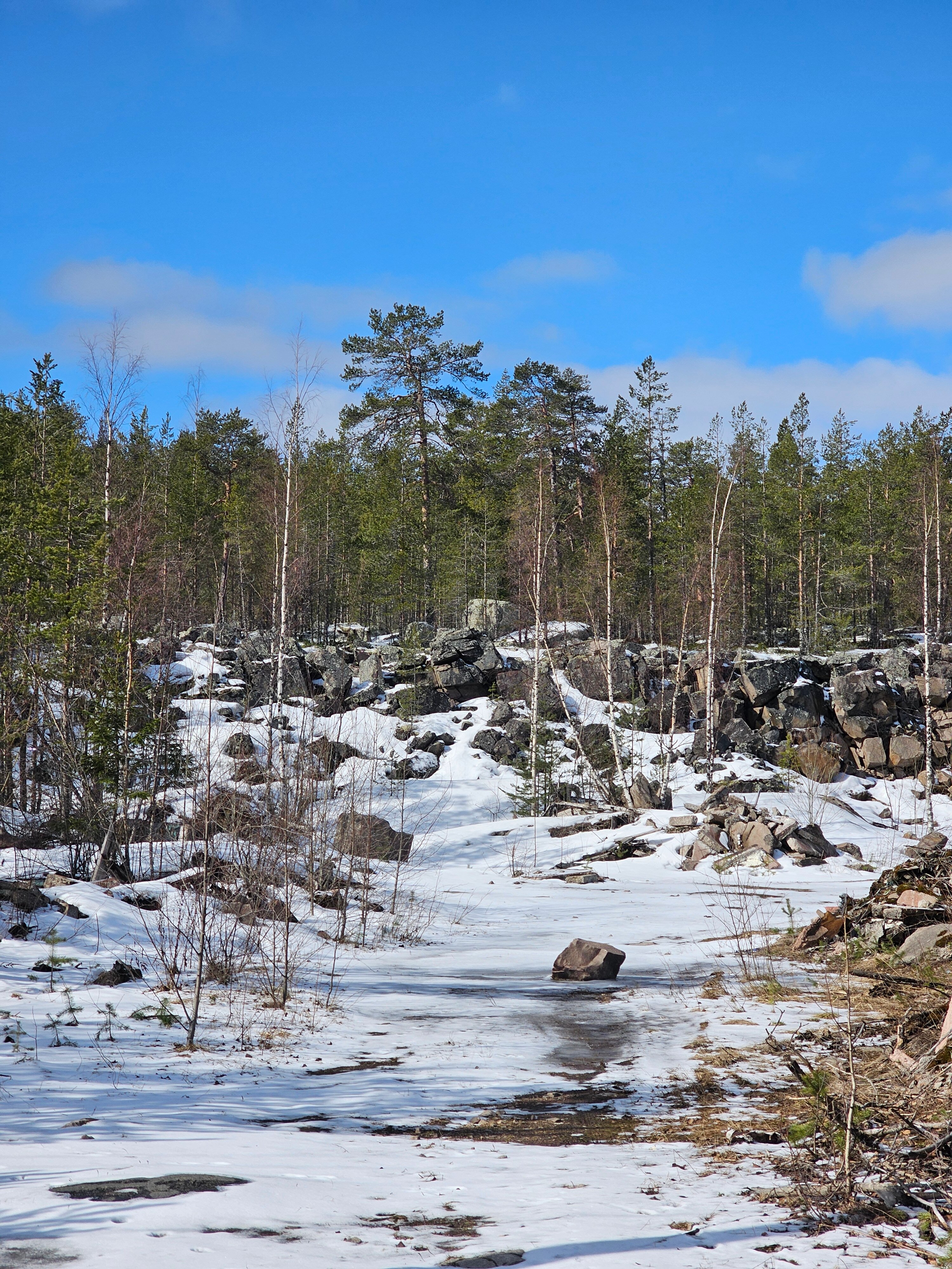 Фото Вепсская Горница
