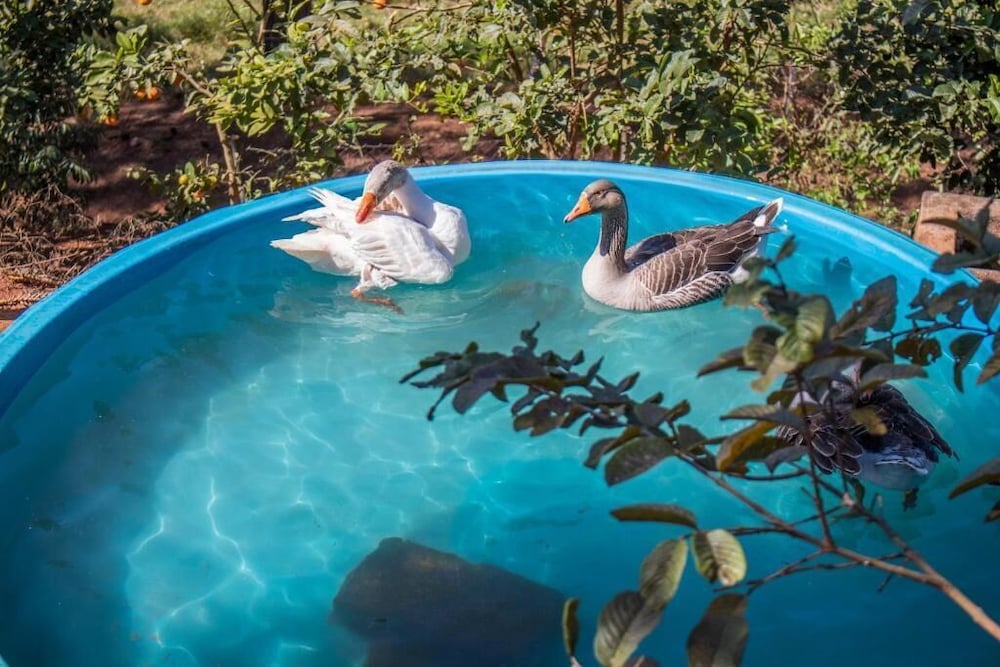Фото Pousada Sonho Meu