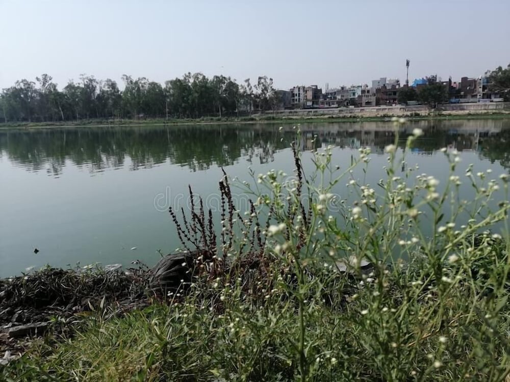 Фото Hotel Noida International