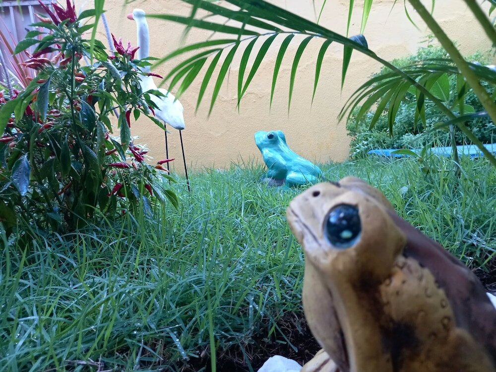 Фото Pousada Aconchego do Tambaú