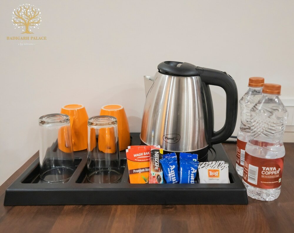 Фото Badigarh Palace Resort