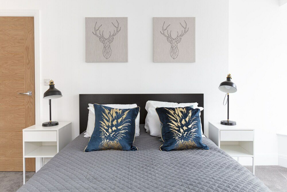 Фото Hampden Apartments - The Louis