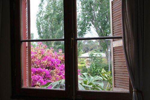 Гостиница El Arbol Hostel в Ла-Серене