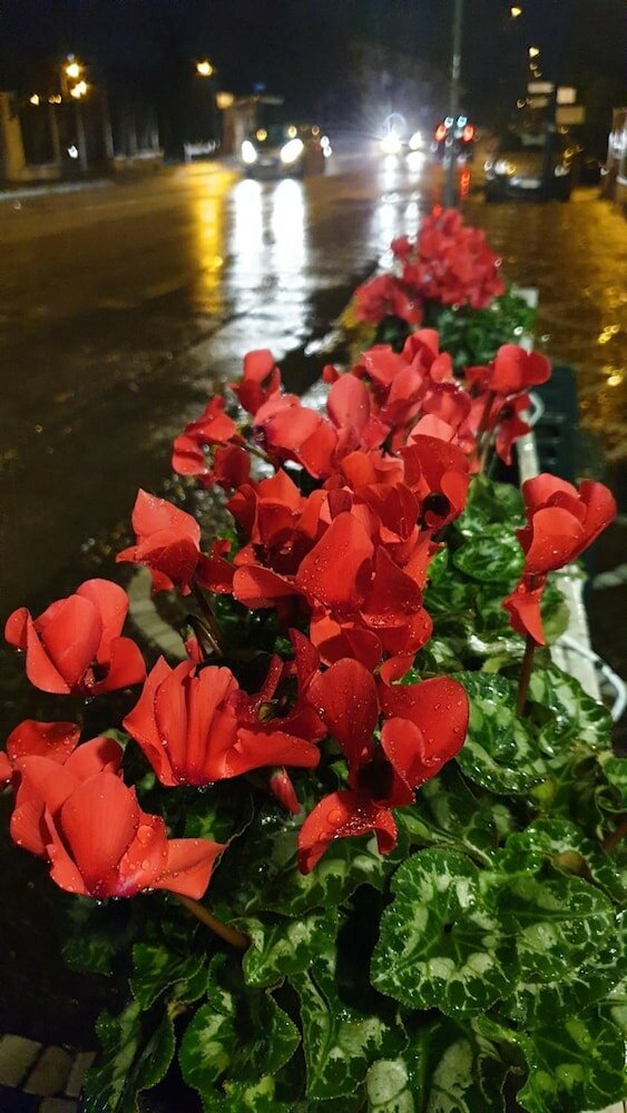 Фото Oh Mamma Mia