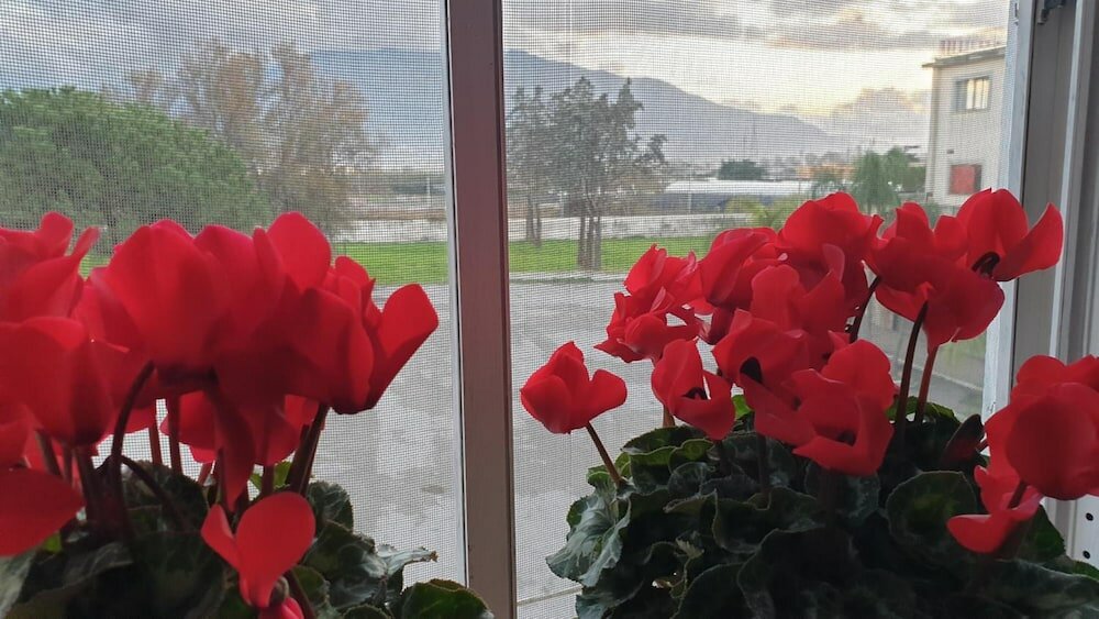 Фото Oh Mamma Mia