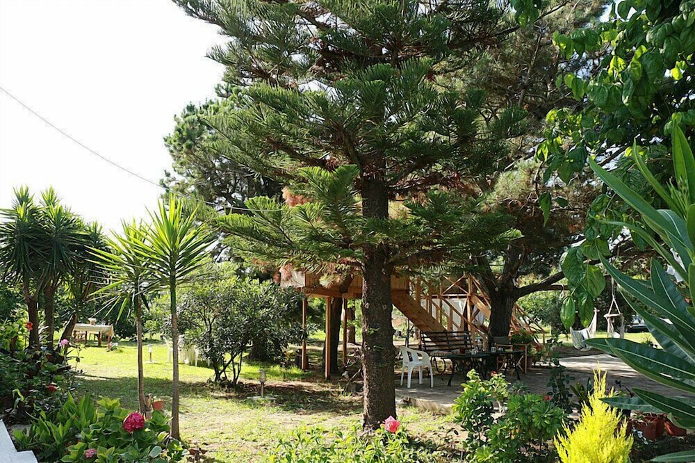 Фото Gongis Studios