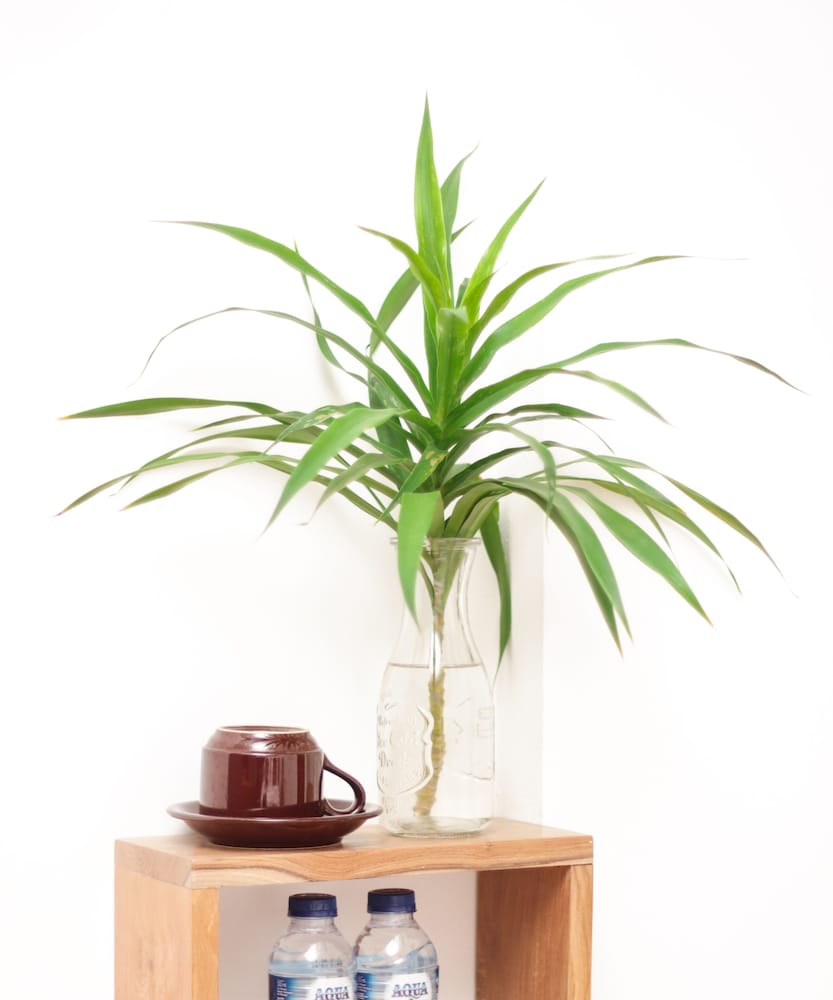 Фото Santi HomeStay