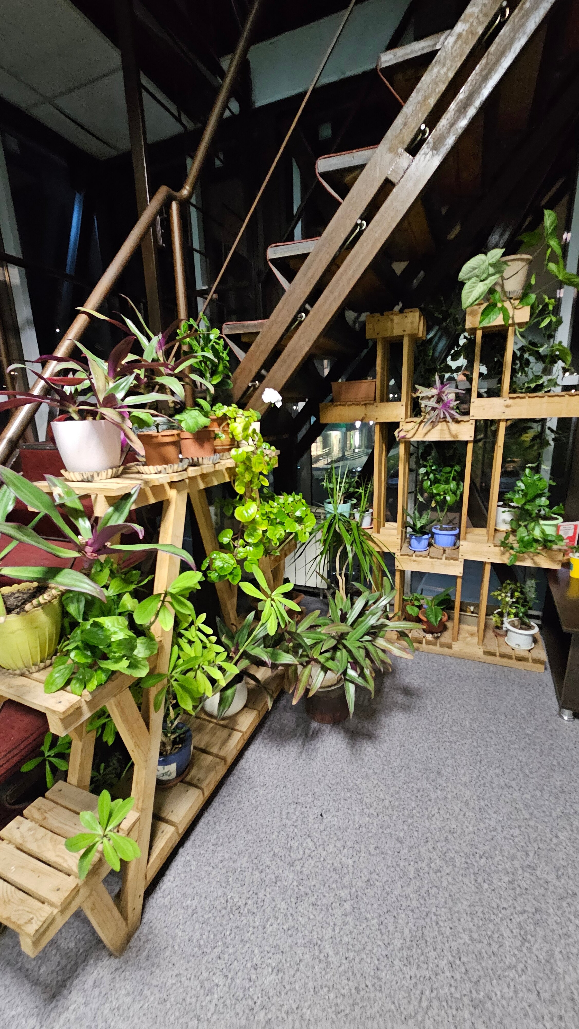 Фото Автопорт Маяк