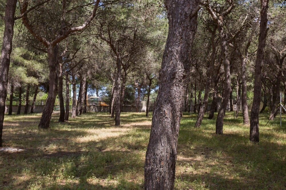 Фото 1975 Villetta La Pineta 2 by Barbarhouse