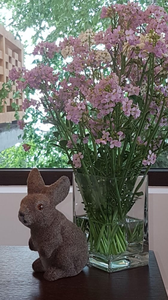 Фото Nicole Kopaonik