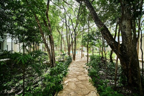 Гостиница Tao Tulum Ph4 by Lockey в Тулуме