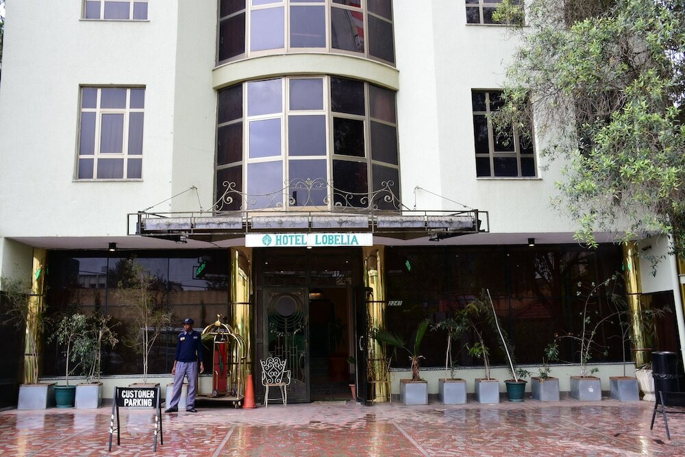 Фото Hotel Lobelia