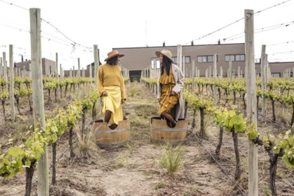 Фото Auberge du Vin, a Tribute Portfolio Hotel, Tupungato