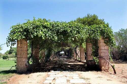 Гостиница Masseria Cristo