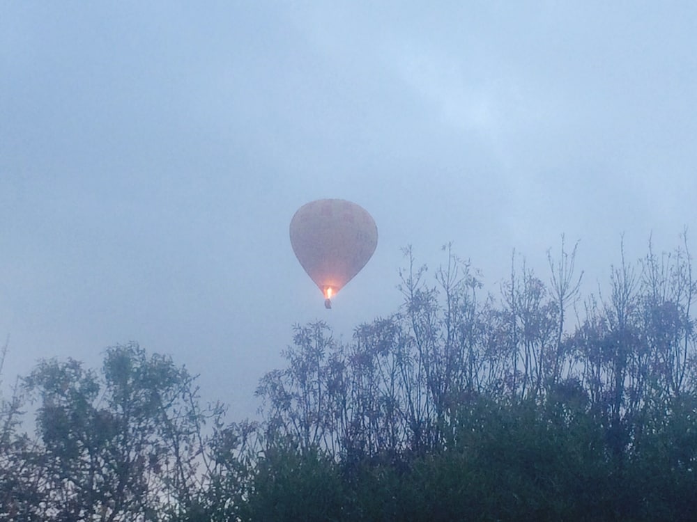 Фото Australian Home Away at Wonga Park Brushy Creek