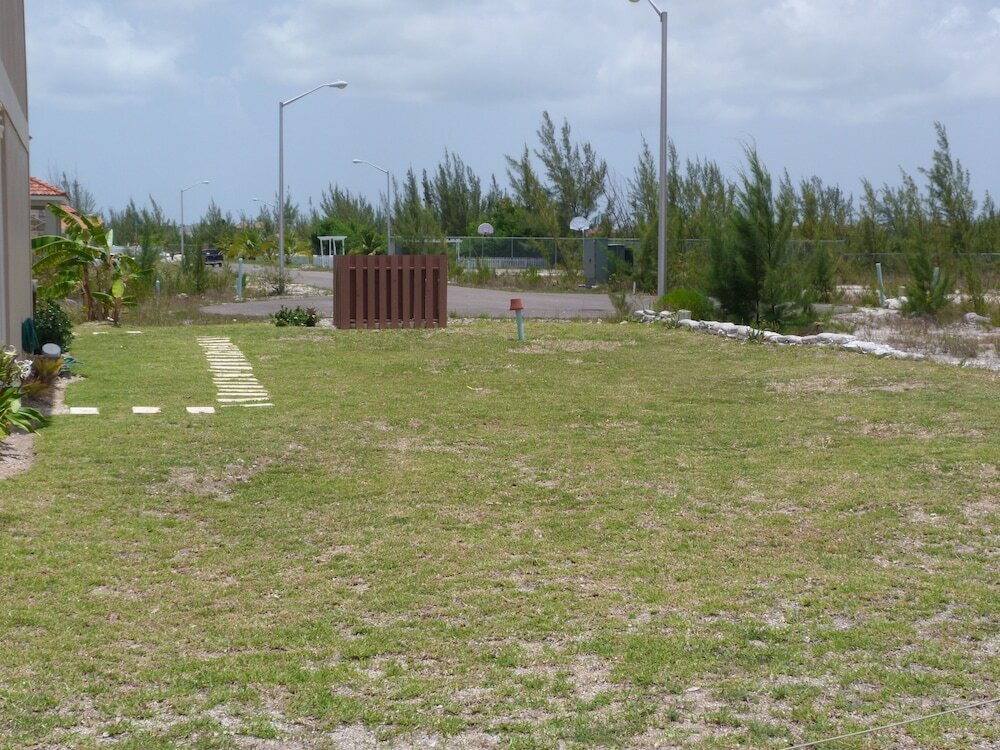 Фото Taste of Paradise