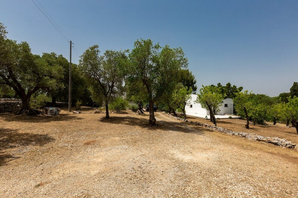 Фото 2480 Villa Sessana by Perle di Puglia