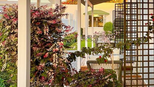 Гостиница Brigadoon Boutique Guesthouse l Ondili в Свакопмунде