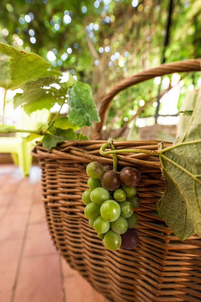 Фото La Casa di Sara a Mondello by Wonderful Italy