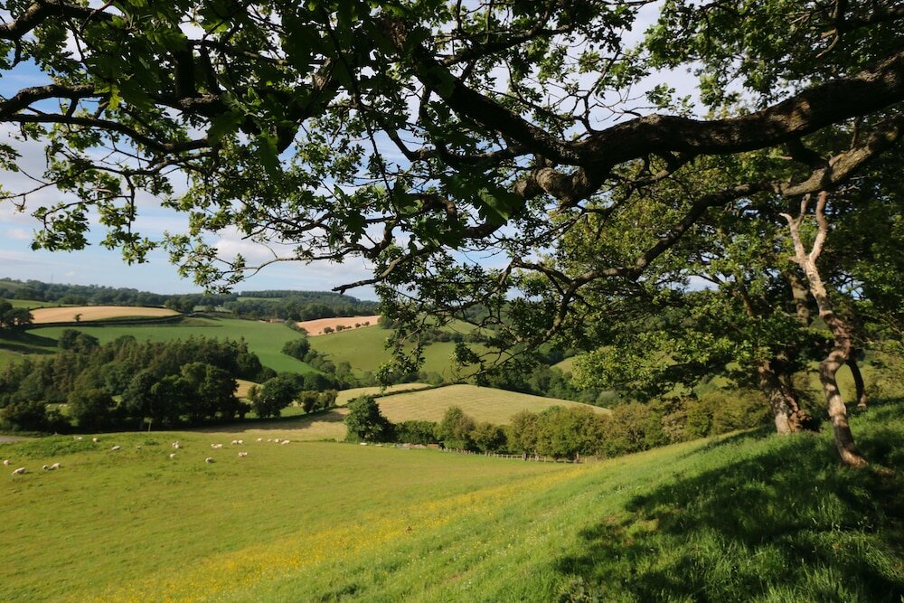 Фото Upper Gelli