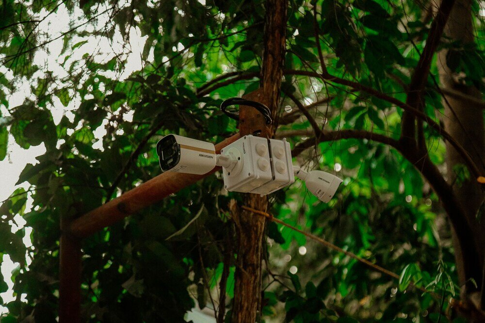 Фото Bamboo village