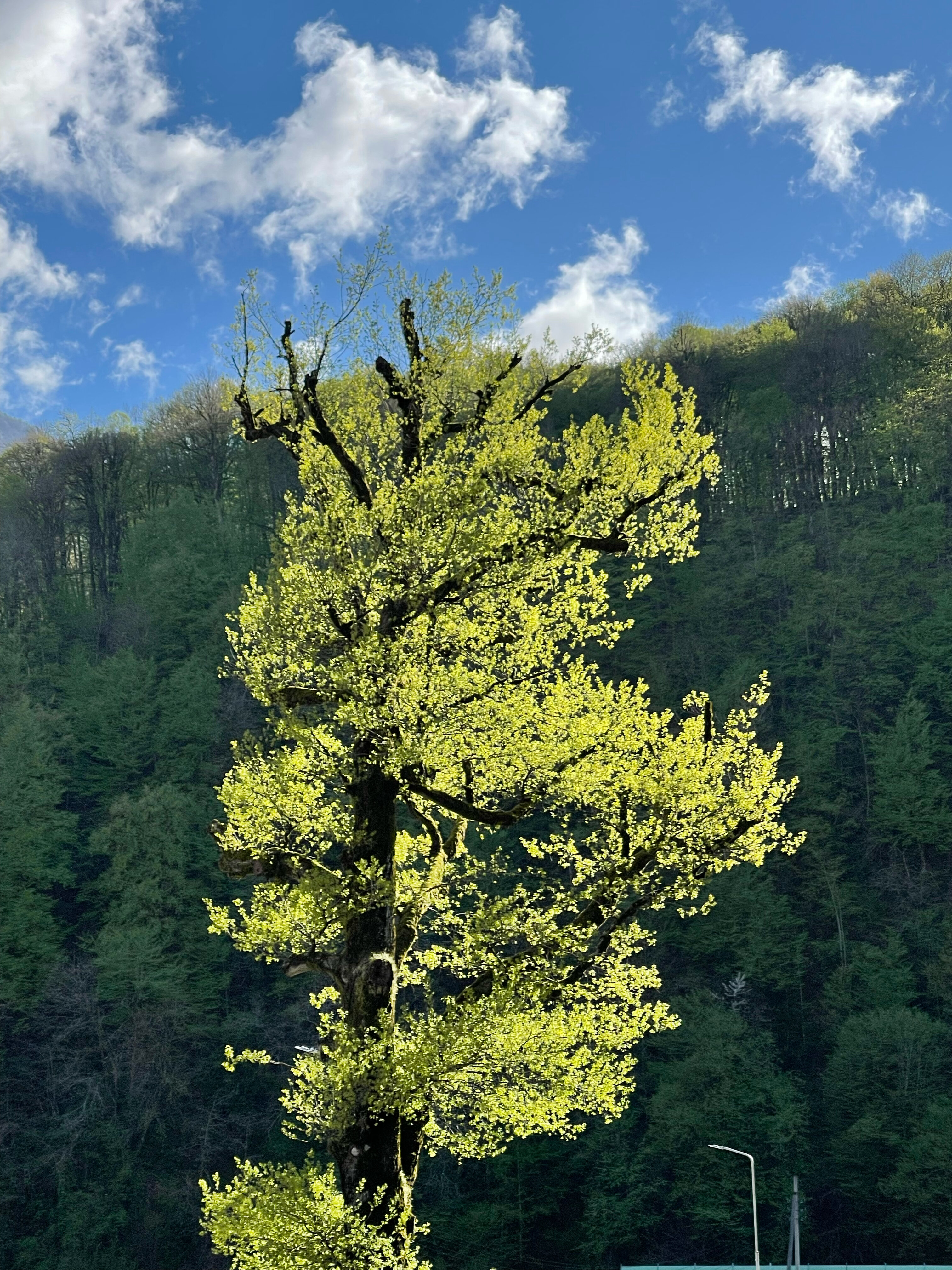 Фото Кристалл