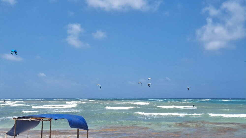 Фото Hotel Ocean Paradise