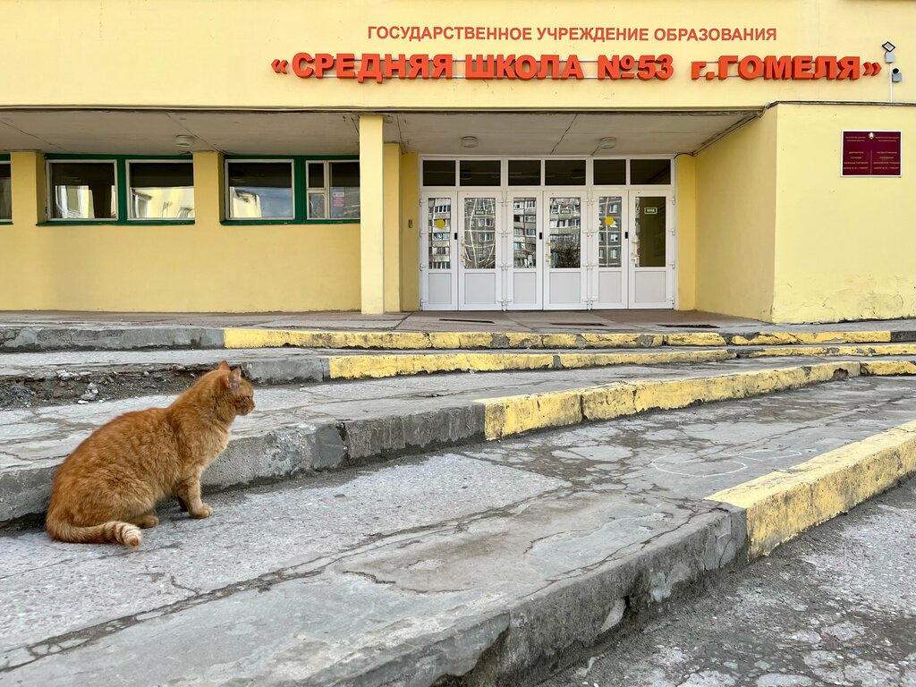 Escuela de enseñanza general Srednyaya shkola № 53 g Gomelya Guo, , foto