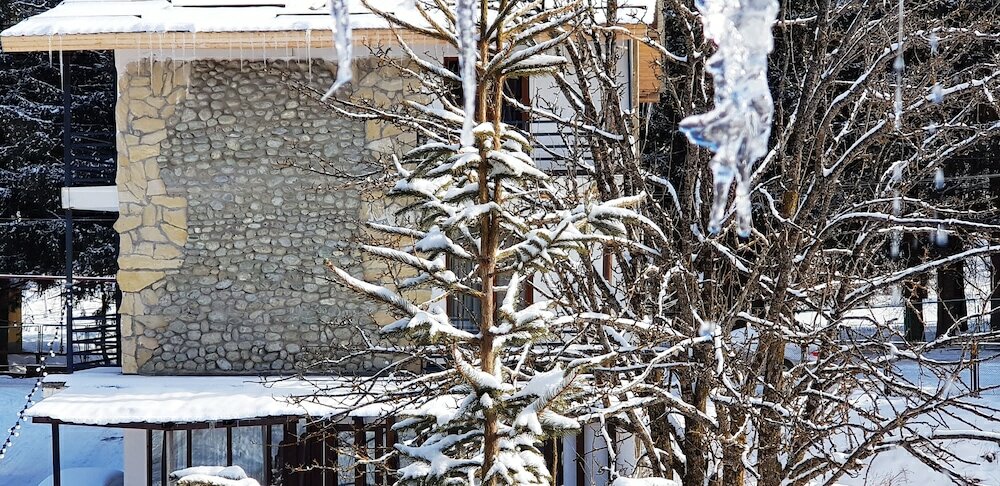 Фото Отель Noel Bakuriani