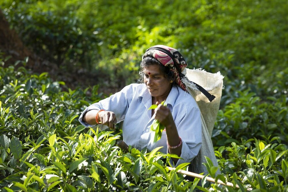 Фото 95847761184