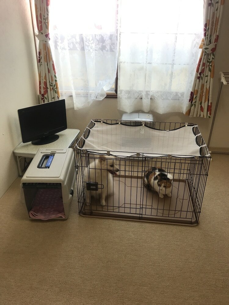 Фото Stay Akeboshi Kan