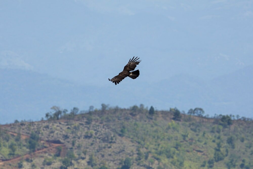 Фото 95847761184