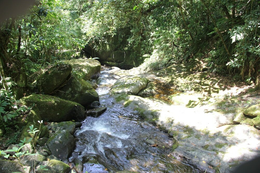 Фото Junglez Eco Hostel