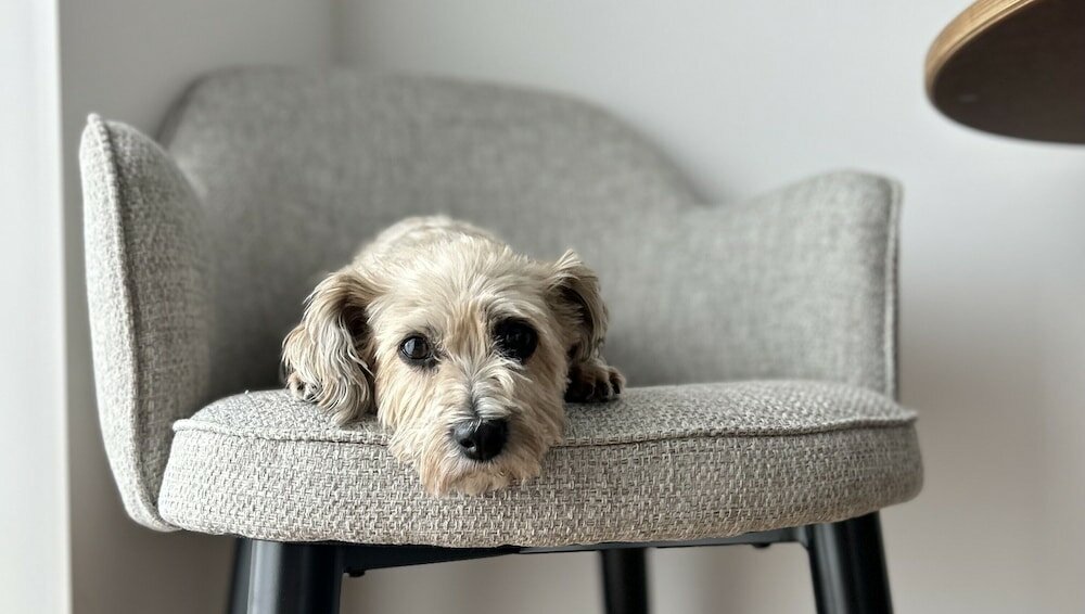 Фото Best Western Plus Ten Hotel